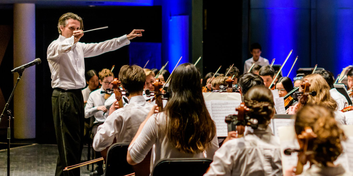 Mississauga Symphony Youth Orchestra: The Art of the Symphony — source promotional image
