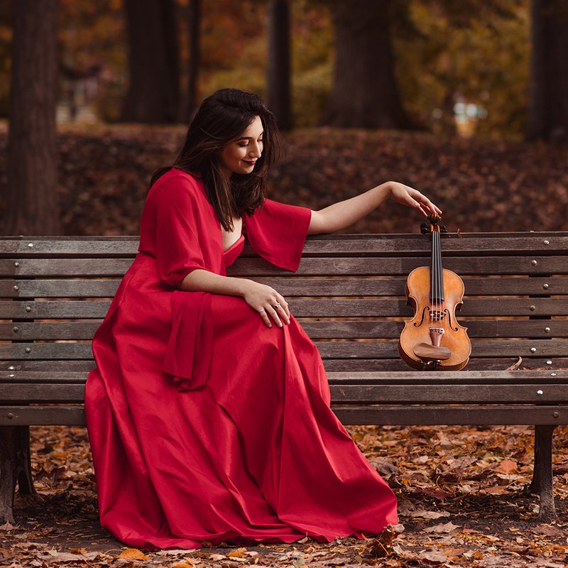 The Four Seasons of Vivaldi official event image