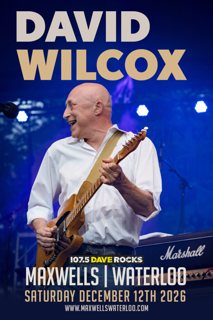 David Wilcox official promotional image