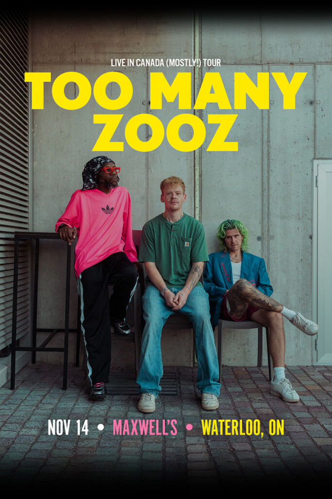 Too Many Zooz official promotional image